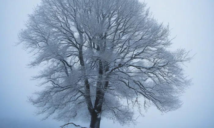 Kostel svatého Vavřince v Jezvém – winter