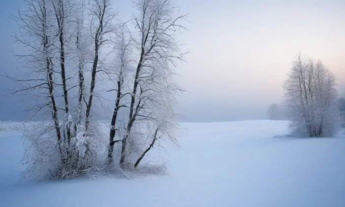 Kostel svatého Vojtěcha (Libice nad Cidlinou) – winter