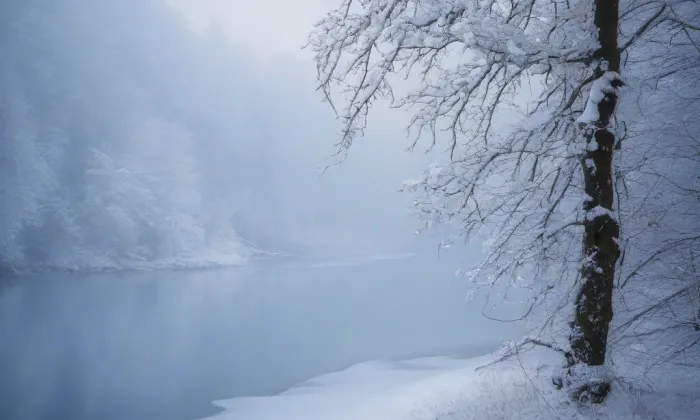 Kostel svatého Vojtěcha (Praha 1) – winter