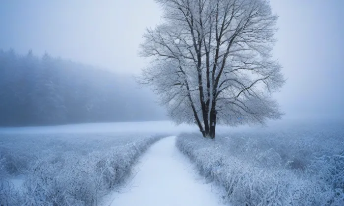 Kostel svatého Vojtěcha v Dejvicích – winter