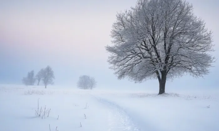 Kostel svatého Zikmunda (Velká Hraštice) – winter