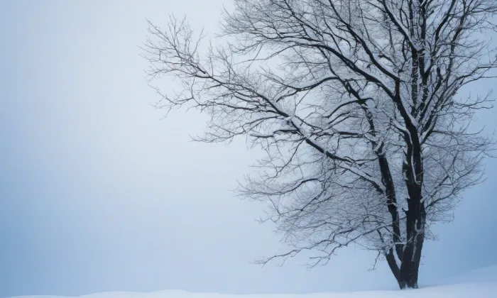 Kostel Všech svatých (Štoutov) – winter