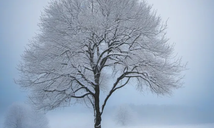 Kostel Všech svatých (Arnultovice) – winter