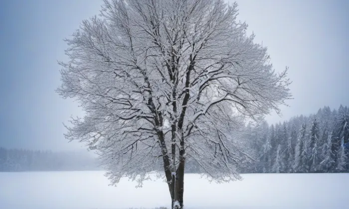 kostel Všech svatých (Dobročkovice) – winter