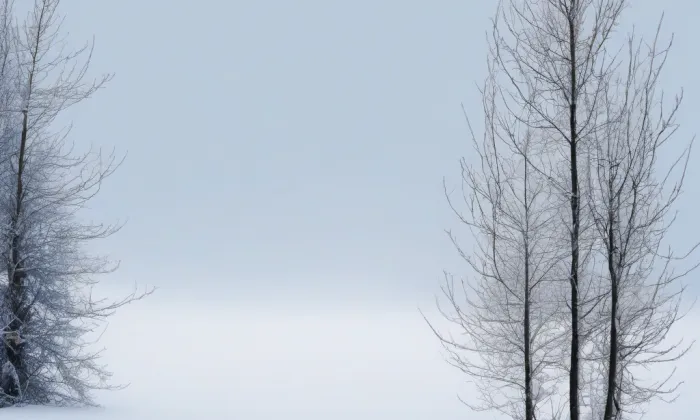 Kostel Všech svatých (Kolín IV) – winter