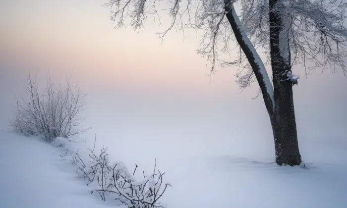 Kostel Všech svatých (Levínská Olešnice) – winter