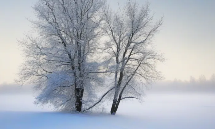 kostel Všech svatých (Libočany) – winter