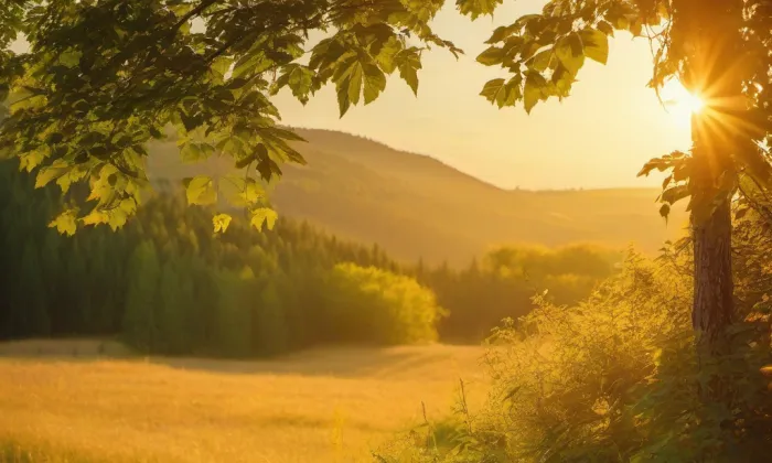 Kostel Všech svatých (Sedloňov) – summer