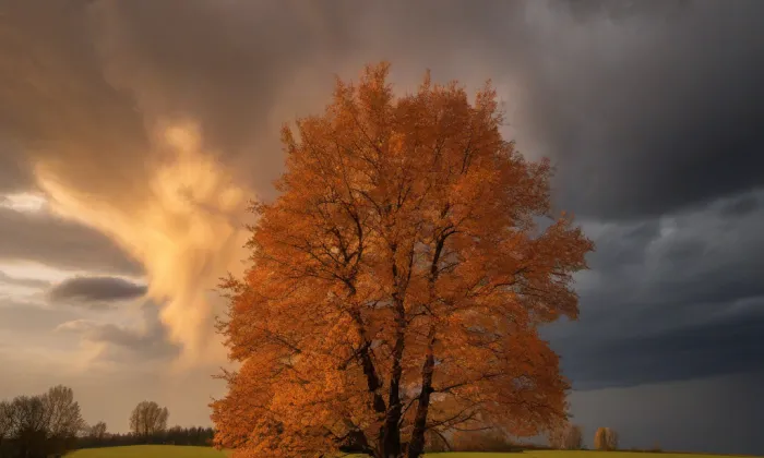 Kostel Všech svatých (Stříbro) – autumn