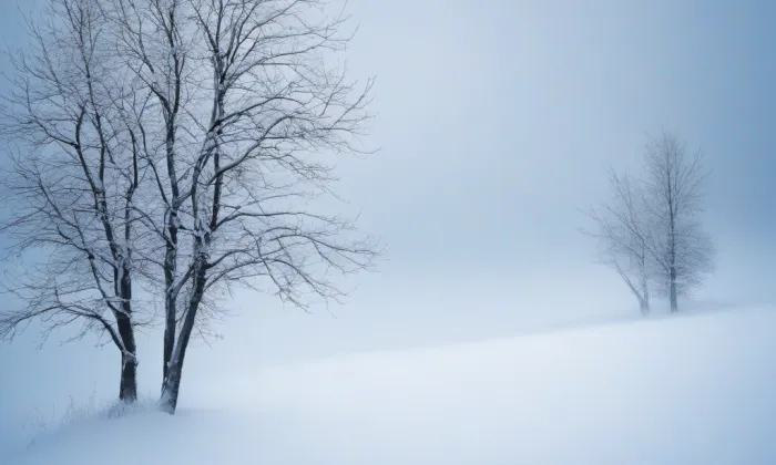 Kostel Všech svatých v Litoměřicích – winter