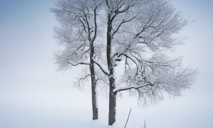 kostel Zmrtvýchvstání – winter