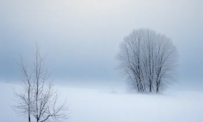 Kostel Zvěstování Panny Marie (Zahájí) – winter