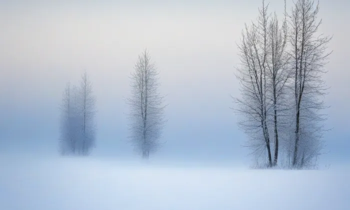 Kostel Zvěstování Panny Marie v Chebu – winter