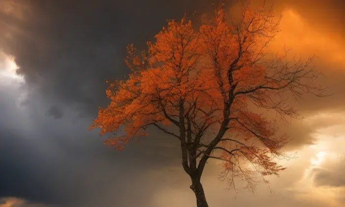 kostel Zvěstování Panny Marie v Mariánském Týnci – autumn