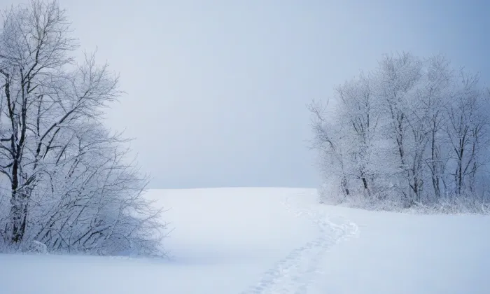 kostel Zvěstování Panny Marie v Mariánském Týnci – winter