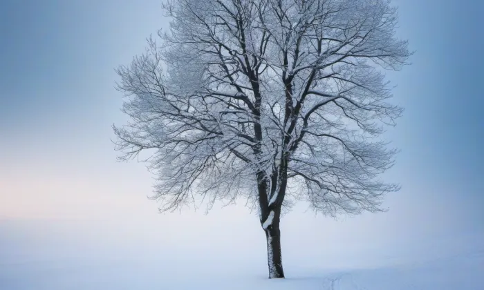 Kounice – winter