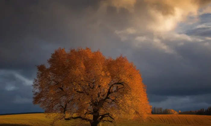 Kovanice – autumn