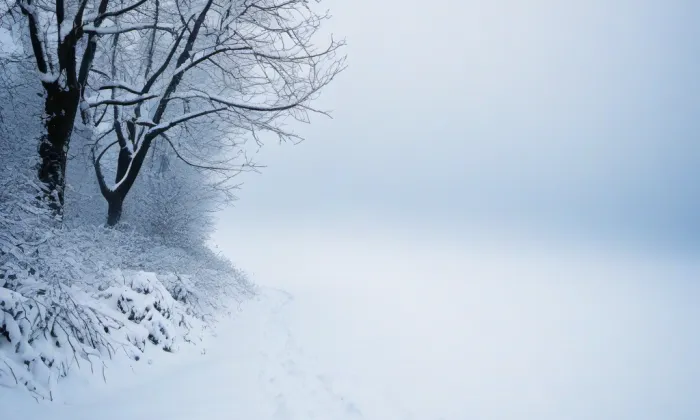 Kovanice – winter