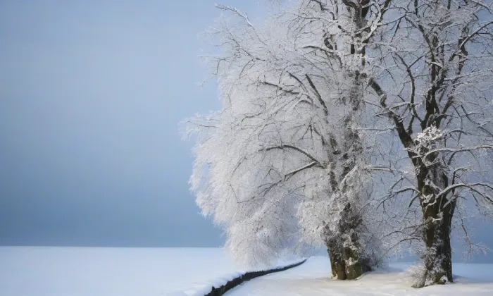 Králův dvůr – winter