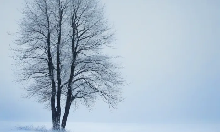Královské údolí – winter