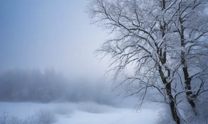 Královská pěšina – winter