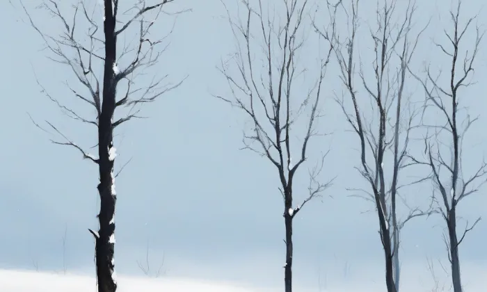 Kravsko – winter
