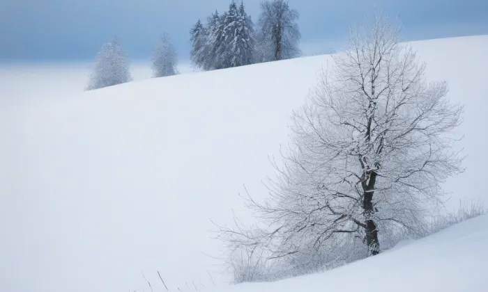 Kristin Hrádek – winter