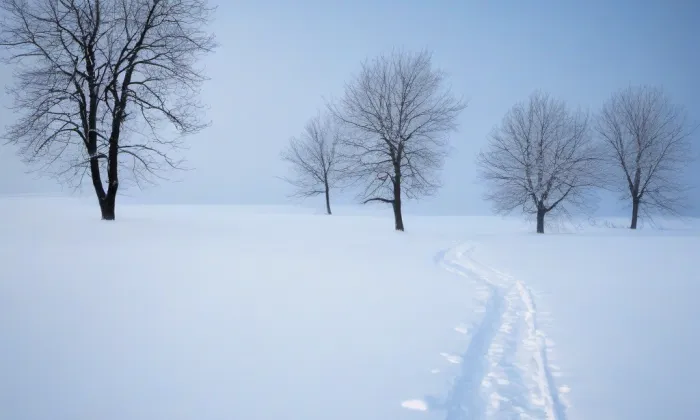 Kulturní a společenské středisko Střelnice – winter