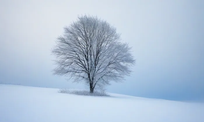 Kulturní dům Slávie – winter