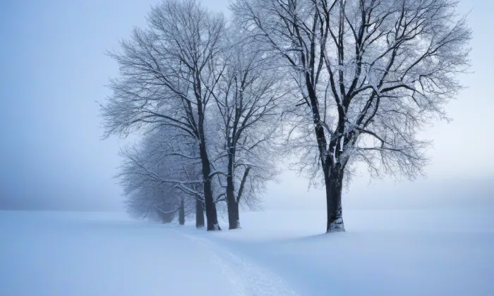Kyjovská radnice – winter