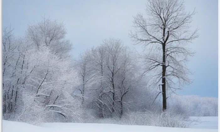 Landštejn – winter