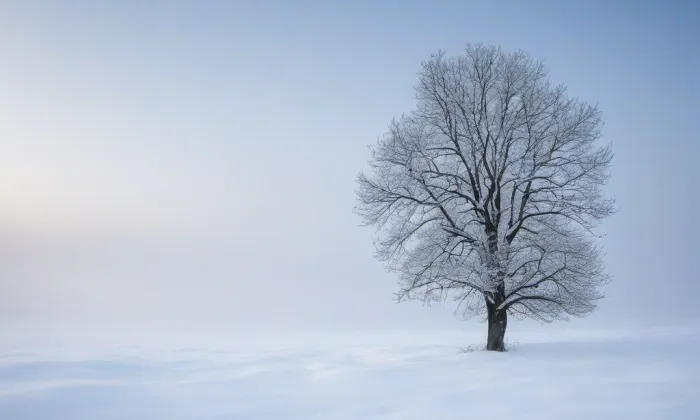 Letenské sady – winter