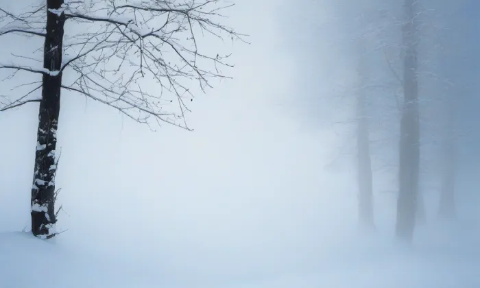 Letenský zámeček – winter