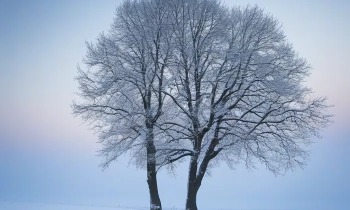 Levín – winter