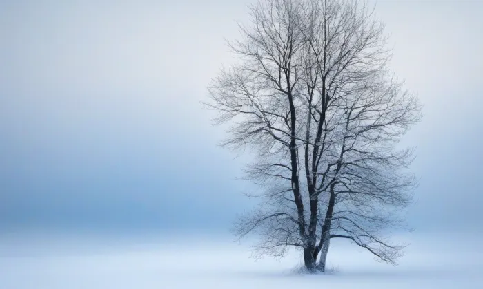 Liliová (Praha 1) – winter