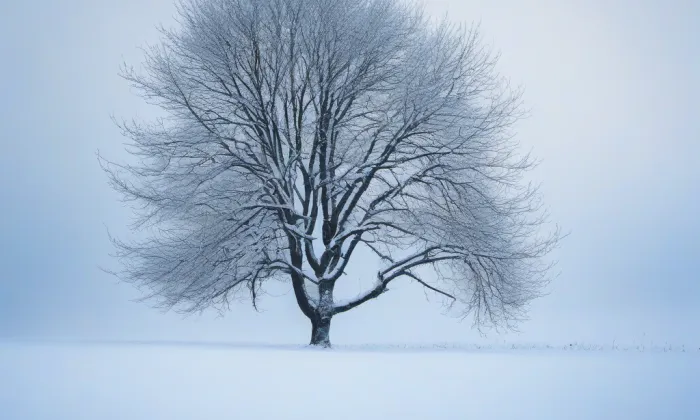 Liskova vila – winter