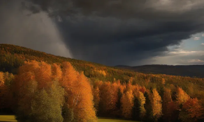 Loděnice Českého Yacht Klubu – autumn