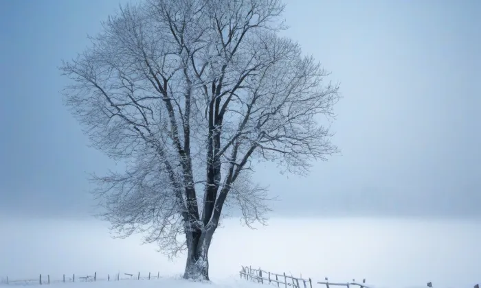 Lorenzovy sady – winter