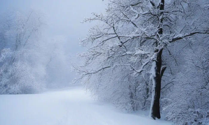 Lovčice – winter