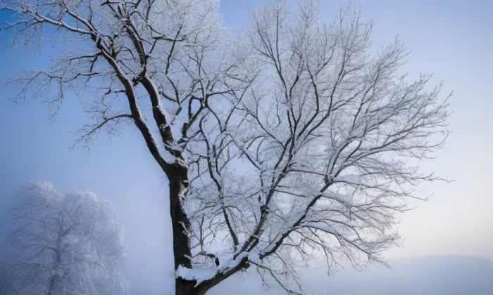 Lužany – winter