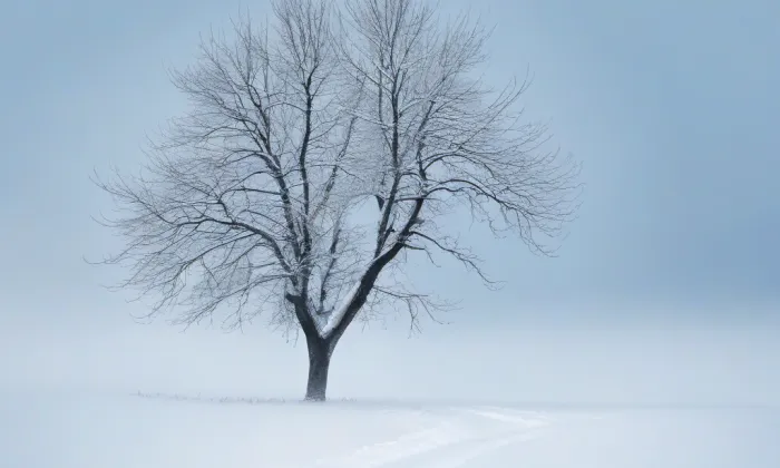 Mšecký zámek – winter