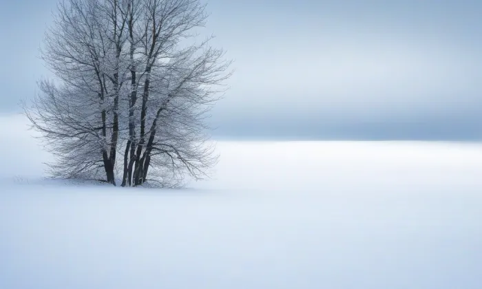Měnínská brána – winter