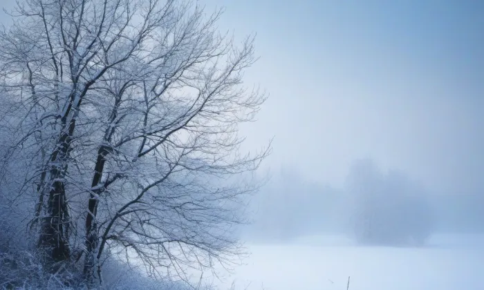 Městský dům kultury Petra Bezruče – winter