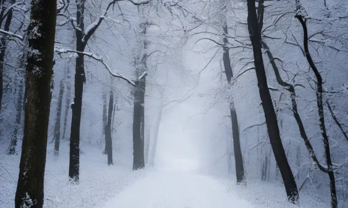 Malešov – winter