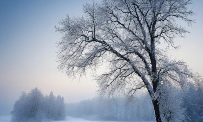 Maršíkov – winter
