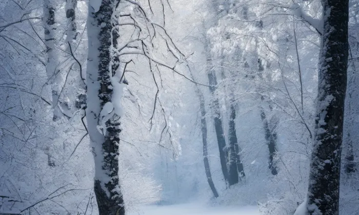 Masarykovy sady (Josefov) – winter