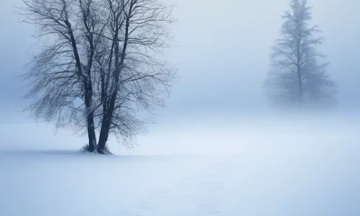 Matice česká – winter
