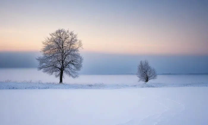 Mattoniho vila – winter