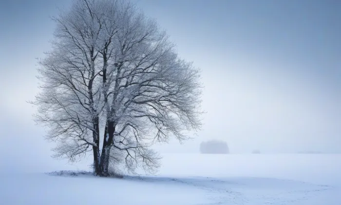 Maxův dvůr – winter