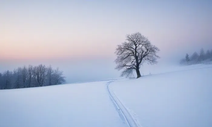 Melantrichova – winter